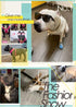 Gold Dog Chain Collar - Stainless Steel with Zirconia Lock, Heavy Duty Cuban Chain for Small Medium Large Dogs (14mm