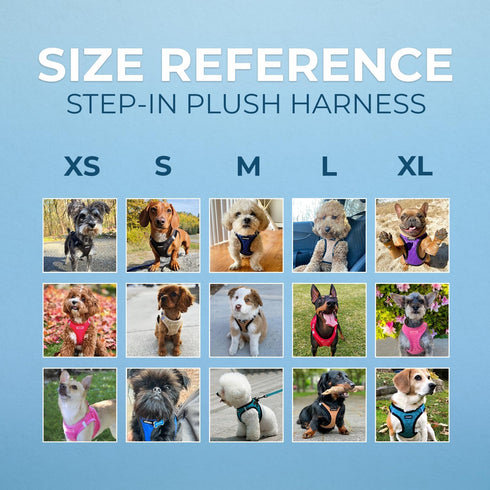 Voyager Step-In Plush Dog Harness, Soft Vest Harness for Small and Medium Dogs - Turquoise Plush, L