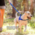EzyDog Premium Quick Fit Adjustable Dog Harness Vest, Reflective Stitching, Perfect for Training and Walking (Small,