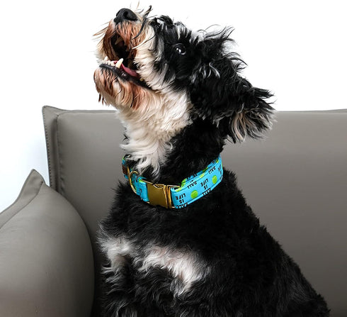 Lionet Paws Comfortable Adjustable Dog Collar with Metal Buckle for Male Female Dogs, Gift Tennis Ball Pattern, Small,