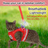 Cat and Puppy Harness with Leashes Set, Escape Proof Adjustable Reflective Soft Mesh Vest for Outdoor Harness