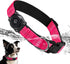Upgraded AirTag Dog Collar, IP68 Waterproof Holder, Reflective Heavy Duty Padded Collars for Small Medium Large Dogs