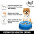 Dogit Go Slow Anti-Gulping Dog Bowl, Blue, X-Small