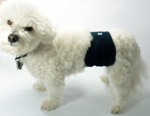 Teamoy Reusable Wrap Diapers for Male Dogs - Washable Puppy Belly Band Pack of 3 (XS, 7"-9" Waist, Black, Gray, Lake