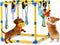 Keaber Puppy Play Gym - 23x23x23 Inch Puppy Jungle Gym with 8