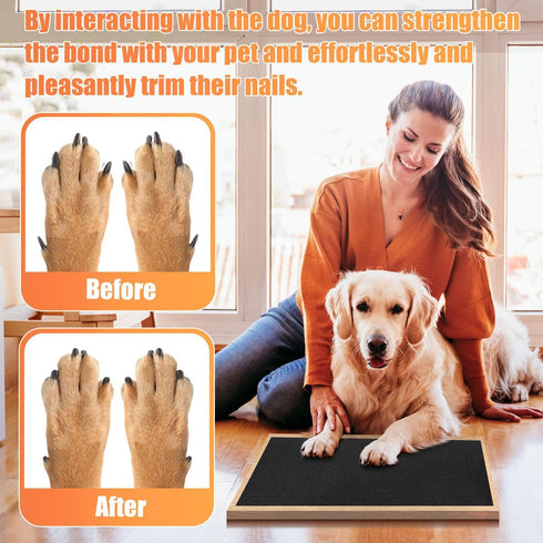 Astfys Pet Nail Self Adhesive Replacement Emery Paper Suitable for Glass Doors Fits Most Dog Scratch Pad Cat Litter Box