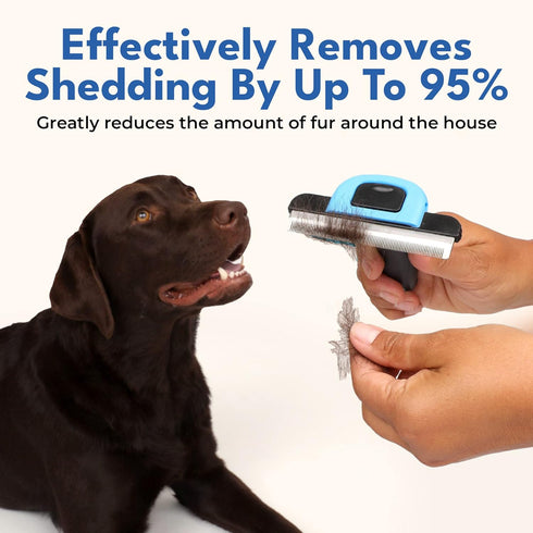 Deshedding Brush For Short Haired Dogs & Cats - Cat and Dog Brush For Shedding Short Hair - Highly Effective Deshedder Grooming Comb
