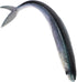 RUNROTOO Vivid Sinking Tuna Soft Lure Artificial Biomimetic Bait Salt and Freshwater Reusable