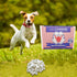 Himalayan Dog Chew YakyCharms Cheese Popcorn Dog Treats | 100% Yak Cheese, Microwavable, Gluten, Grain, Lactose Free,