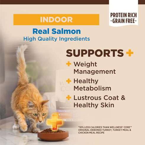 Wellness CORE+ Natural Grain-Free High Protein Adult Dry Cat Food, Salmon and Herring Meal, Indoor Recipe, 11 Pound Bag
