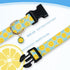 Cute Cotton Dog Collar, Summer Lemon Pattern Adjustable Soft Collar for Small Medium Large Dogs, for Boys and Girls