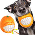 Dog Squeak Chew Toys Tough Ball for Medium/Large Aggressive Chewers, Indestructible Training Fetch Toy