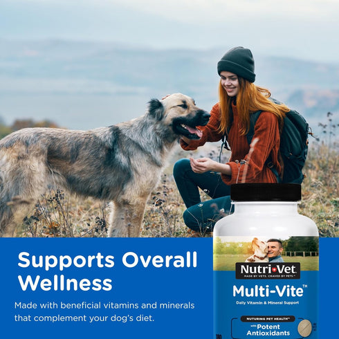 Immune 180 Count Nutri-Vet Multi-Vite Chewables for Adult Dogs, Daily Multivitamin & Mineral Supplement for Overall
