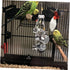 WOONEKY Safe Biting Bird Toy for Parrots - Bright Teether Plaything