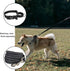 Reflective Martingale Collar for Dogs, Quick Snap Buckle Anti-Pull Nylon Safe Slip Collar for Easy Walking (Black,