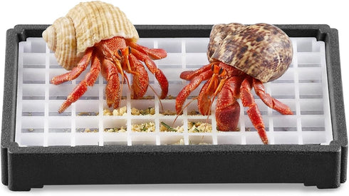Hermit Crab Food Bowl with Grid,Large Capacity, Less Prone to Tipping Over