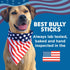 Best Bully Sticks Thick Ring Collagen Chews for Dogs - 10 Count - All-Natural, Easily Digestible, Rawhide Alternative