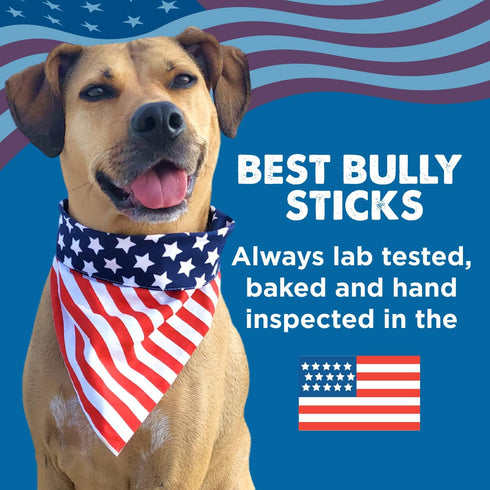 Best Bully Sticks 5 to 6 Inch Variety Pack Stuffed Shin Bones - USA Baked & Packed Shin Bones for Dogs - 3 Pack