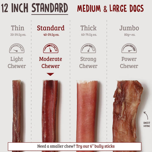 Barkz Naturals 12 Inch Odor-Free Bully Sticks for Medium to Large Dogs, (12 Inch, 6 Pack) All-Natural Beef Pizzle Chews