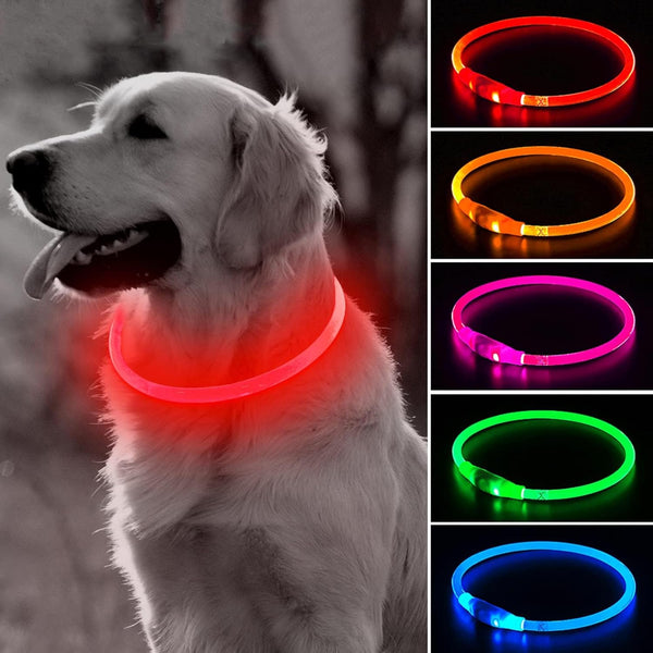 BSEEN Light Up Dog Collar - Rechargeable LED Dog Collar, 360° Glow in The Dark Pet Collar for Night Walking (Red 70cm)