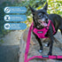 Best Pet Supplies Voyager Adjustable Dog Vest Harness, No Pull, Breathable for Small, Medium, Large Dogs, Fuchsia, M