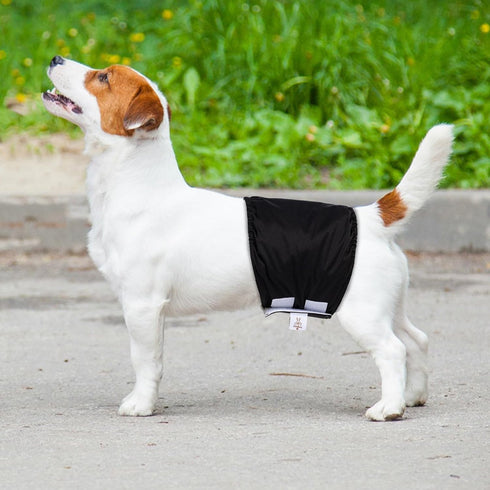 3pcs Pack DM44M CuteBone Dog Diapers Male Washable Belly Band for Male Dogs Wraps Black a