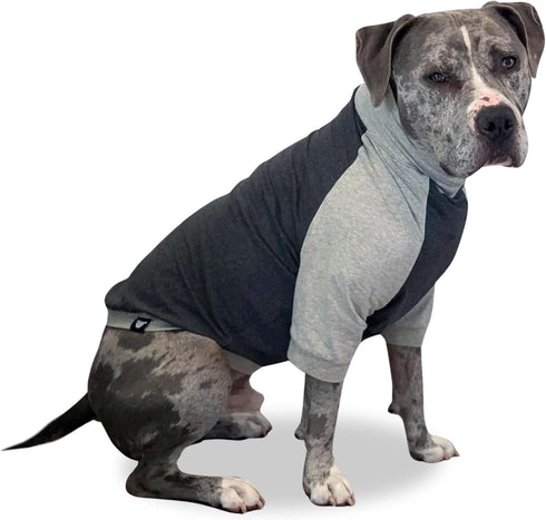 Tooth & Honey Large Dog Pullover Shirt – Dark & Light Grey Summer Shirt for Allergy Relief, XX-Large