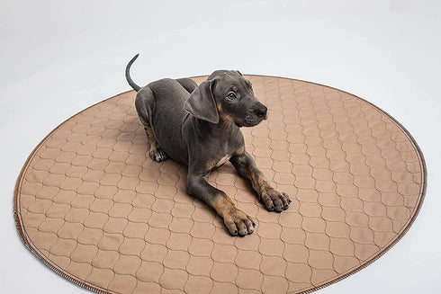 60 Inch EZwhelp Reusable Dog Pee Pad, Washable Waterproof Mat for Dog Potty Training or Whelping Pad, Round
