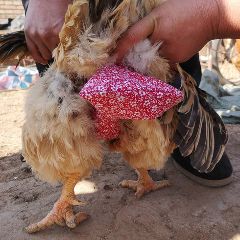 pranovo Pet Diaper Nappy Poultry Cloth for Goose Duck Hen Chicken Fashionable (S Thick)
