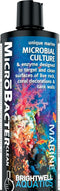 Brightwell Aquatics MicroBacter Clean - Microbial Culture & Enzyme Blend for Cleaning Aquatic Tank Surfaces, 250 ML