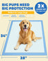 100-Pack 34" 28" 6-Layer Extra Large Pee Pads - x Puppy Pads for Dogs with Leakproof Protection, Disposable