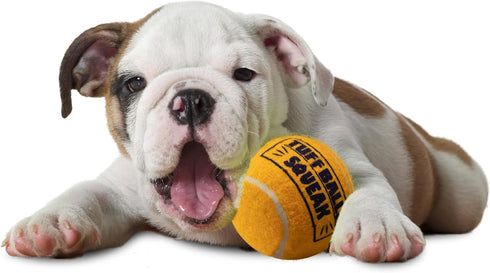 PetSport 6 Pack Giant Squeak Tennis Ball Dog Toys (4") for Large Dogs, Durable Non-Toxic Felt & Rubber