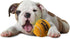 PetSport 6 Pack Giant Squeak Tennis Ball Dog Toys (4") for Large Dogs, Durable Non-Toxic Felt & Rubber