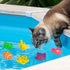 ZGLUZP 6Pcs Swimming Colorful Pool Cat Interactive Toy, Cat Floating Water Toy, Pet Kitten Bathing Fish Toy, Sensory