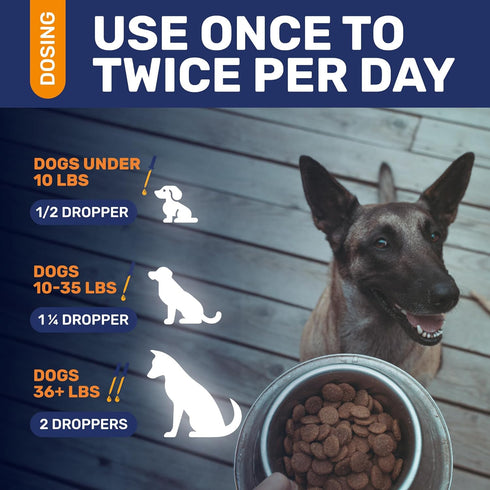 Antibiotic for Dogs, Natural Dog Antibiotics with Beef Flavor, Pet Antibiotic - 2 Oz