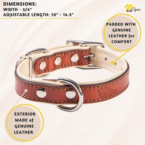 ADITYNA Heavy-Duty Premium Leather Dog Collar for Small Dogs, Padded with Soft Genuine Leather for Comfort