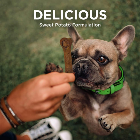 Fruitables Bioactive Fresh Mouth Dental Chews – Mini Size Dog Treats – 7.3 Ounces