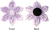 Lionet Paws Spring Female Dog Collar, Soft Adjustable Daisy Collar for Large Dogs, Neck 16-24 inches