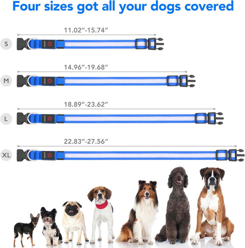 Vizpet LED Dog Collar - Adjustable USB Rechargeable Light Up Safety Glowing Collar for Dogs (Large, Blue)