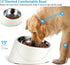 Tilted Angle Dog Bowl, 15° Slanted Stainless Steel Dog Cat Food Bowl, Non-Slip & Non-Spill Pet Feeder with Elevated Detachable Melamine Stand, Easy to Get Food Dog Dish, Medium 1.5 Cup White