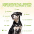 King Kanine Green Inmune Plus Multivitamin and Mineral - 6 oz Organic Powder to Improve Joint Mobility & Allergy Relief