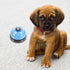BESPORTBLE Dog Training Bell and Pet Doorbell for Potty Training Blue Paw Print Press Bell for Dogs and Cats for Puppy