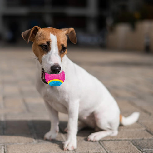 SPOT 5 2.5-inch Sensory Ball for Soft Chewers - Stimulates All Senses, Bell & Squeaker Sounds, Raised Nubs Clean Teeth