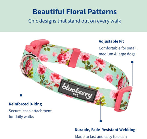 Blueberry Pet Dog Collar - Turquoise Floral Rose Print, Adjustable Small Dog Collar for Neck 12-16"