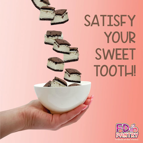 2 Pack, 2.5 oz, Freeze Dried Ice Cream Sandwich Bites, Vanilla, Crunchy & Sweet Snack, Dehydrated, Resealable Gift Bag