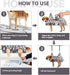 Hammock Trimmers, Trimming, ATESON Dog Grooming with Nail Clippers/Nail Dog Grooming Harness for Nail Pet Grooming