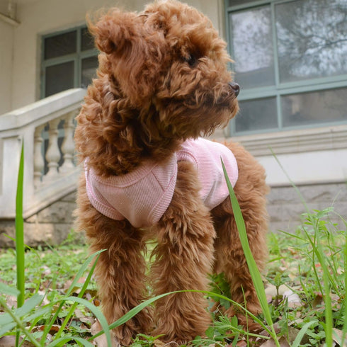 Lovelonglong 2019 Summer Pet Clothing, Dog Clothes Blank T-Shirts, Ribbed Tanks, Thread Vests for Large Medium Small