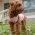 Lovelonglong 2019 Summer Pet Clothing, Dog Clothes Blank T-Shirts, Ribbed Tanks, Thread Vests for Large Medium Small