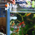 Aquarium Shrimp Feeding Dish and Tube Kit, Glass Feeder Tube, Acrylic Dish, Holder, 3 Lengths, 7.8, 11, 13.7 Inches