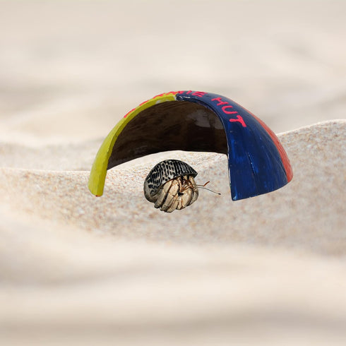 2.5 Inches Needzo Beach Umbrella Hermit Crab Hut Hideout Habitat Decoration for Pets, Amphibians, Decorative Cage